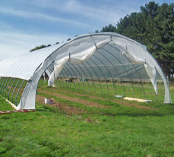 High tunnel in April